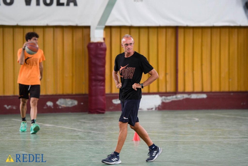 Cadeo Redel Viola
