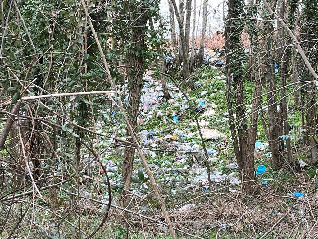 Discarica Bagnara Guardie Ambientali (1)