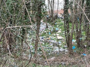 Discarica Bagnara Guardie Ambientali (1)