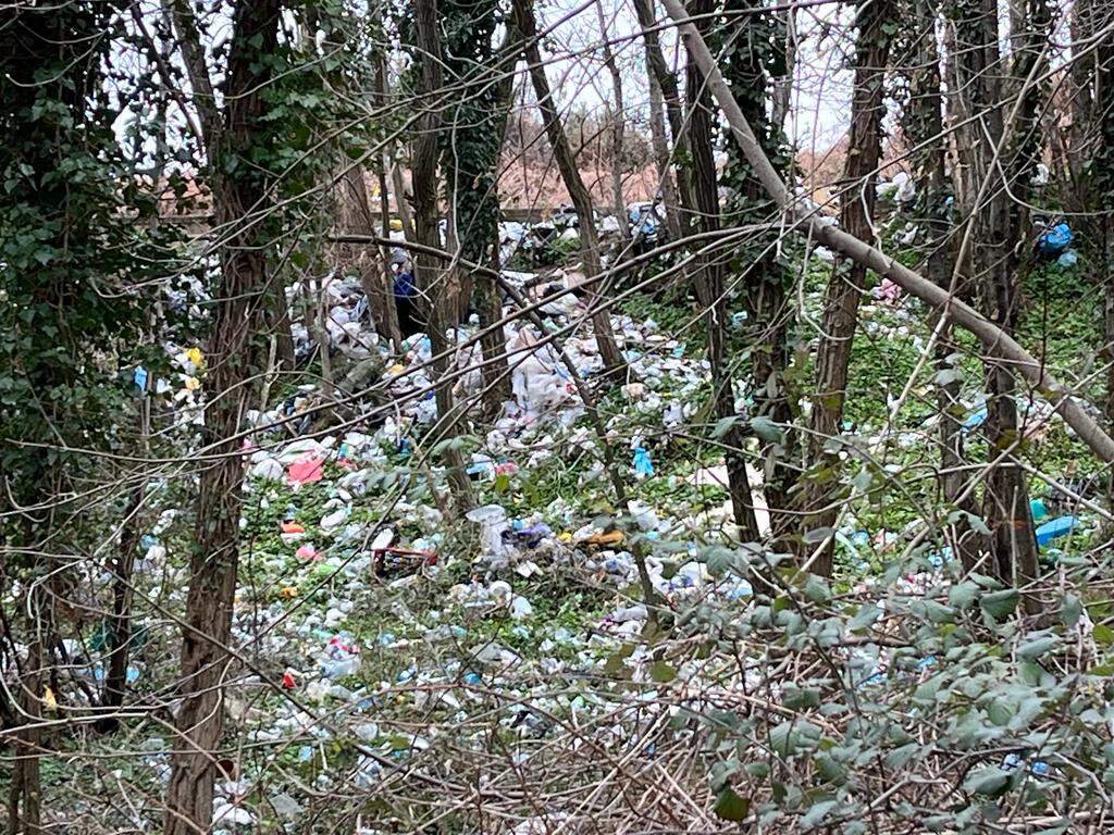 Discarica Bagnara Guardie Ambientali (3)