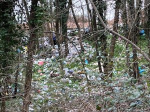 Discarica Bagnara Guardie Ambientali (3)