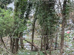 Discarica Bagnara Guardie Ambientali (4)