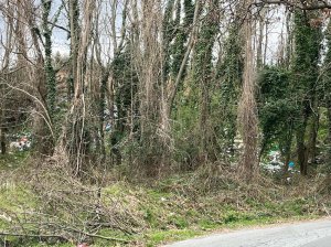 Discarica Bagnara Guardie Ambientali (5)