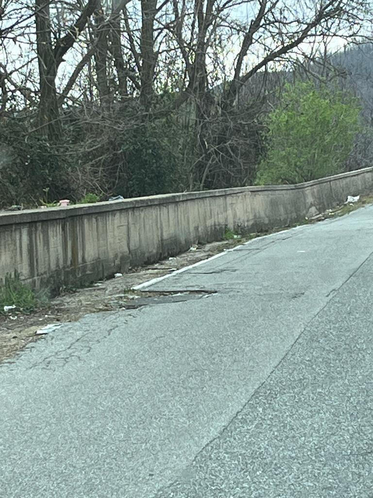 Discarica Bagnara Guardie Ambientali (6)