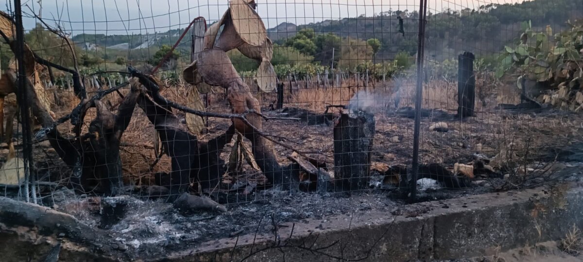 Incendio Palizzi