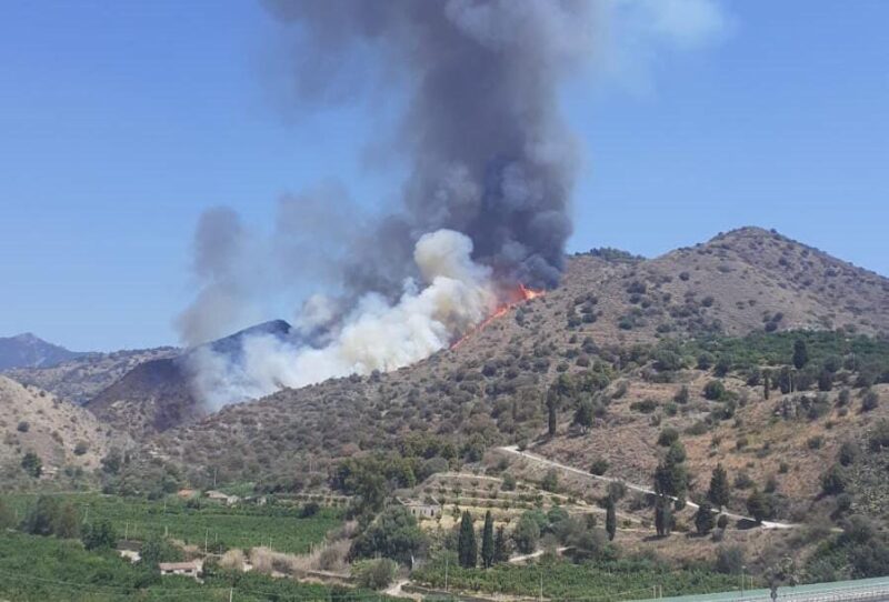 Incendio Palizzi