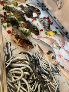 Lido Stella Marina Pentimele (14)