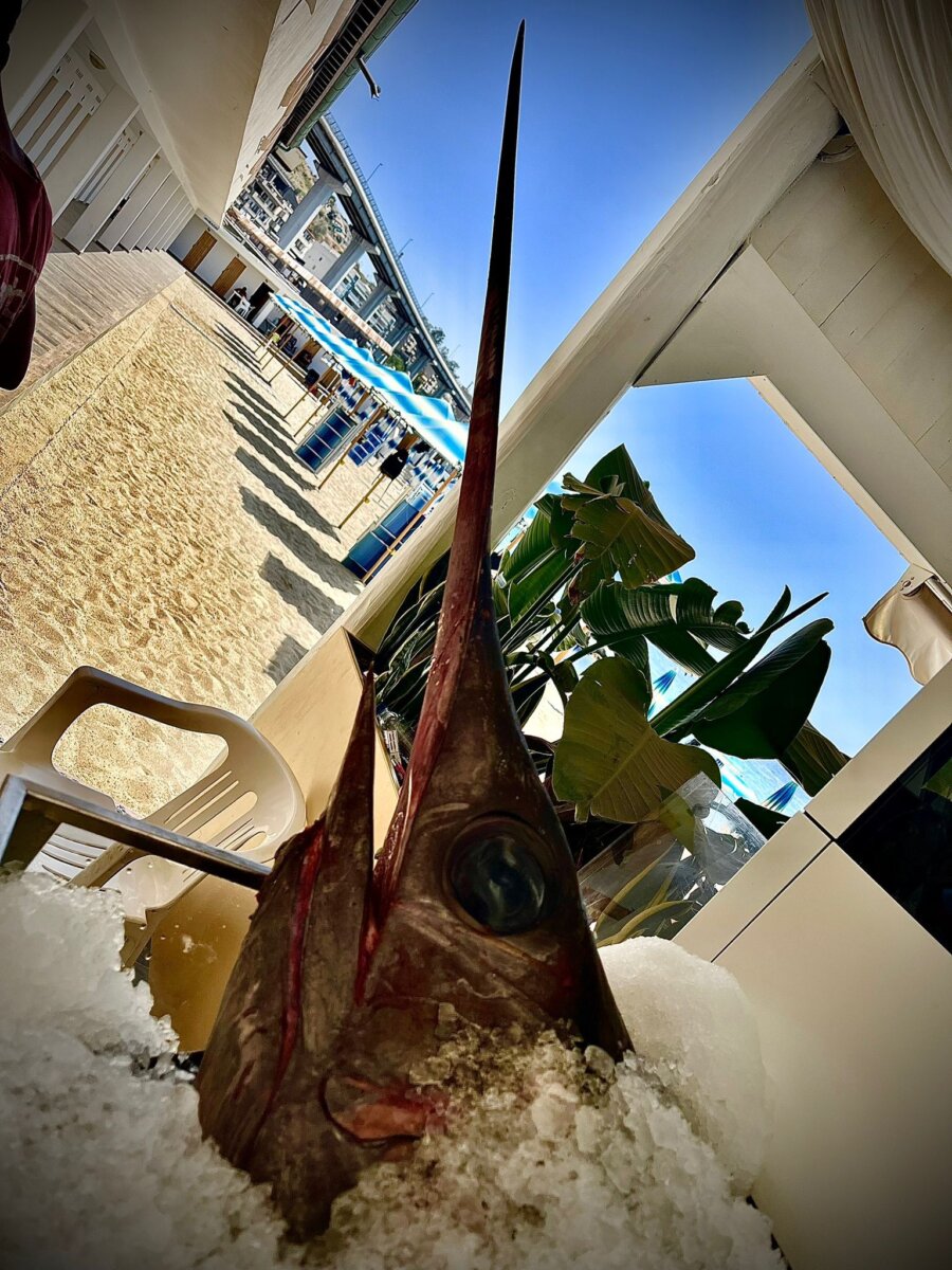 Lido Stella Marina Pentimele (15)