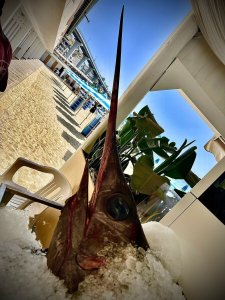 Lido Stella Marina Pentimele (15)