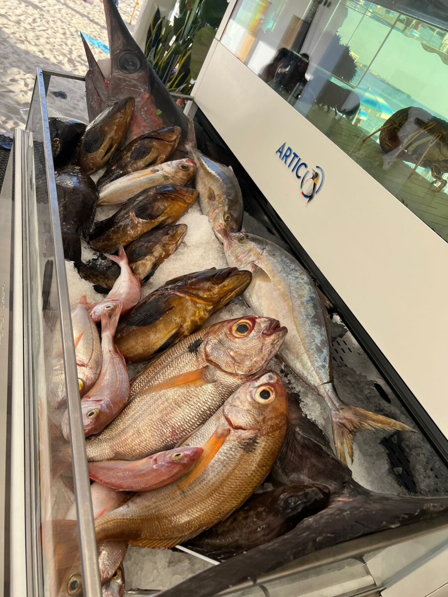 Lido Stella Marina Pentimele (16)