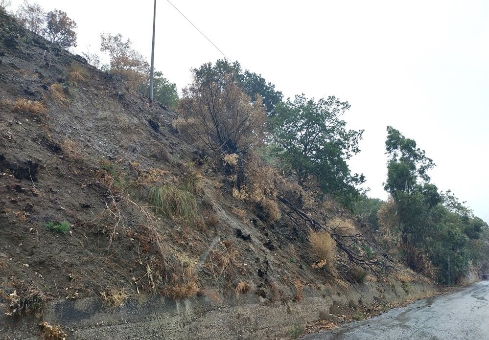 Incendi 2
