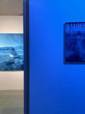 Veduta Parziale Della Mostra