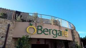 Bergare