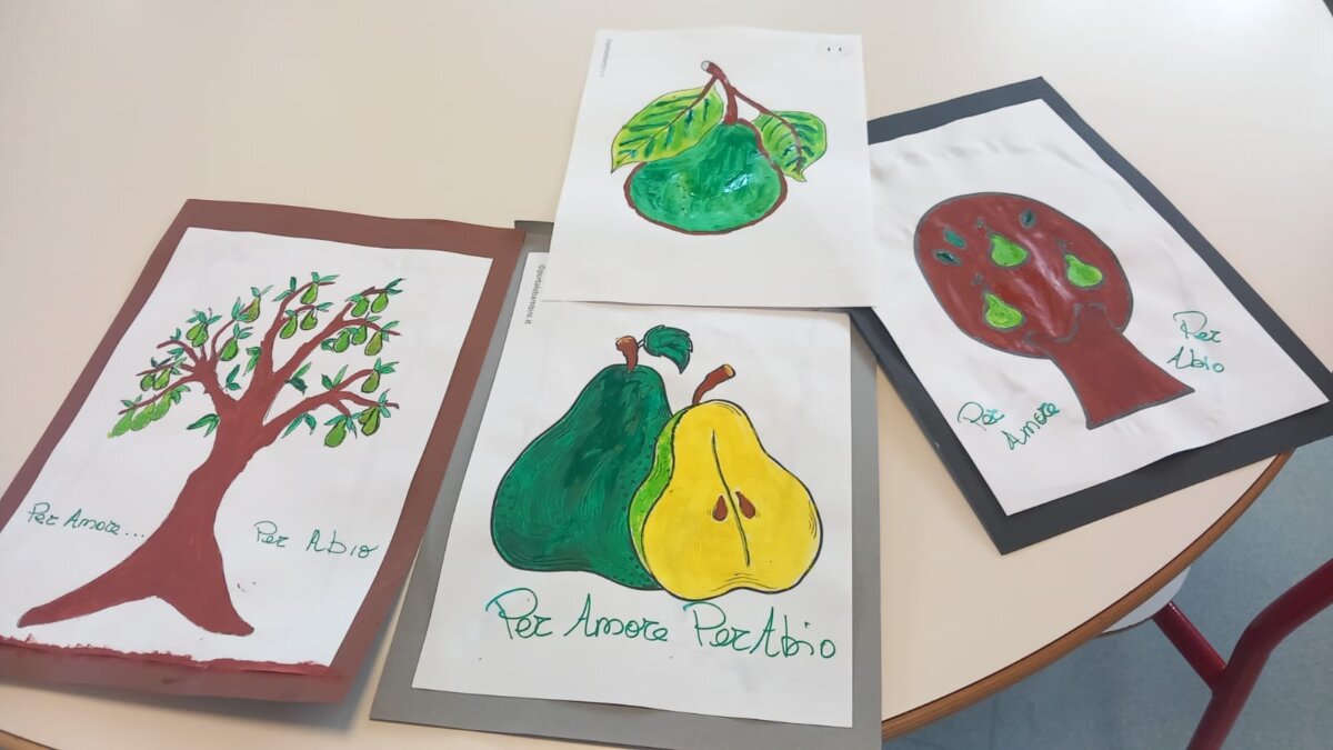 Disegno Pere Abio