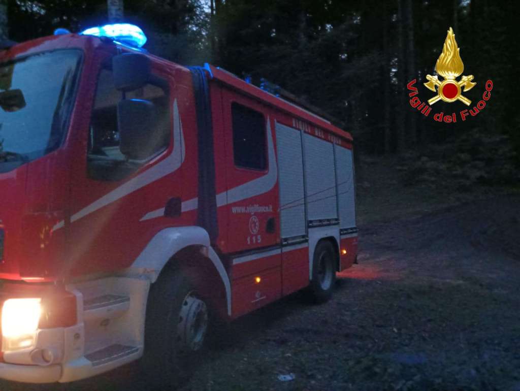 Vibo Valentia, due cercatori di funghi si perdono nei boschi: ritrovati dai Vigili del Fuoco