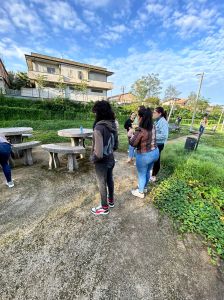 Parco rodari cinquefrondi