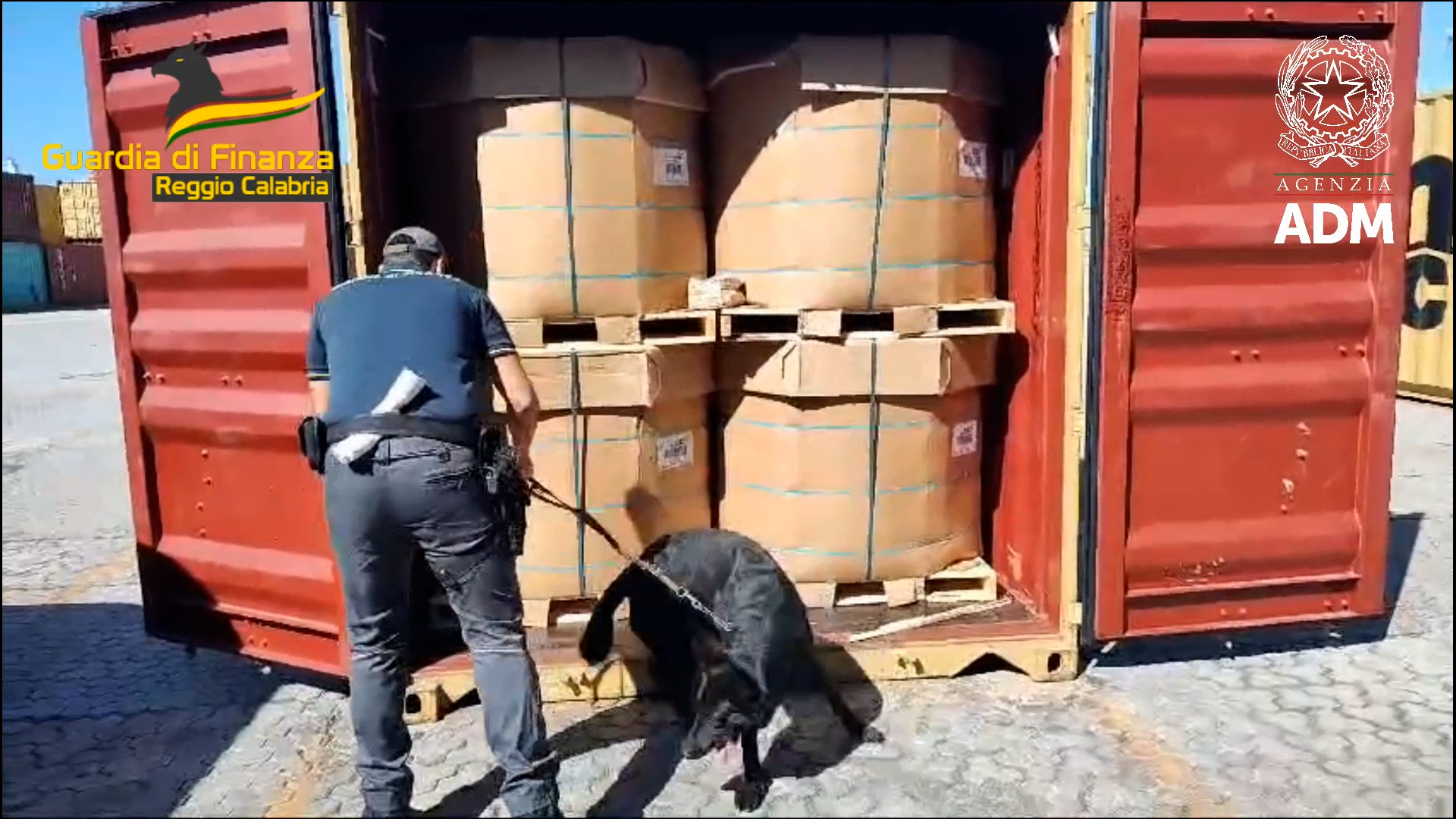 Porto gioia tauro sequestro gdf