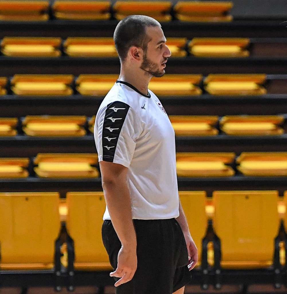 Pugliatti Domotek