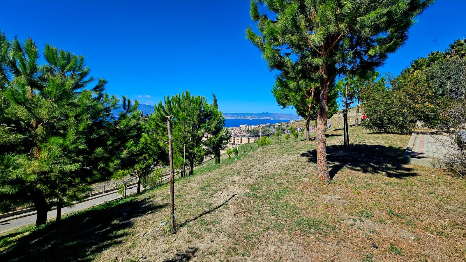 bosco urbano mediterranea vito