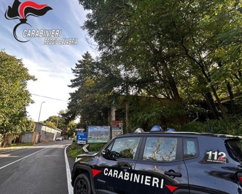 carabinieri aspromonte