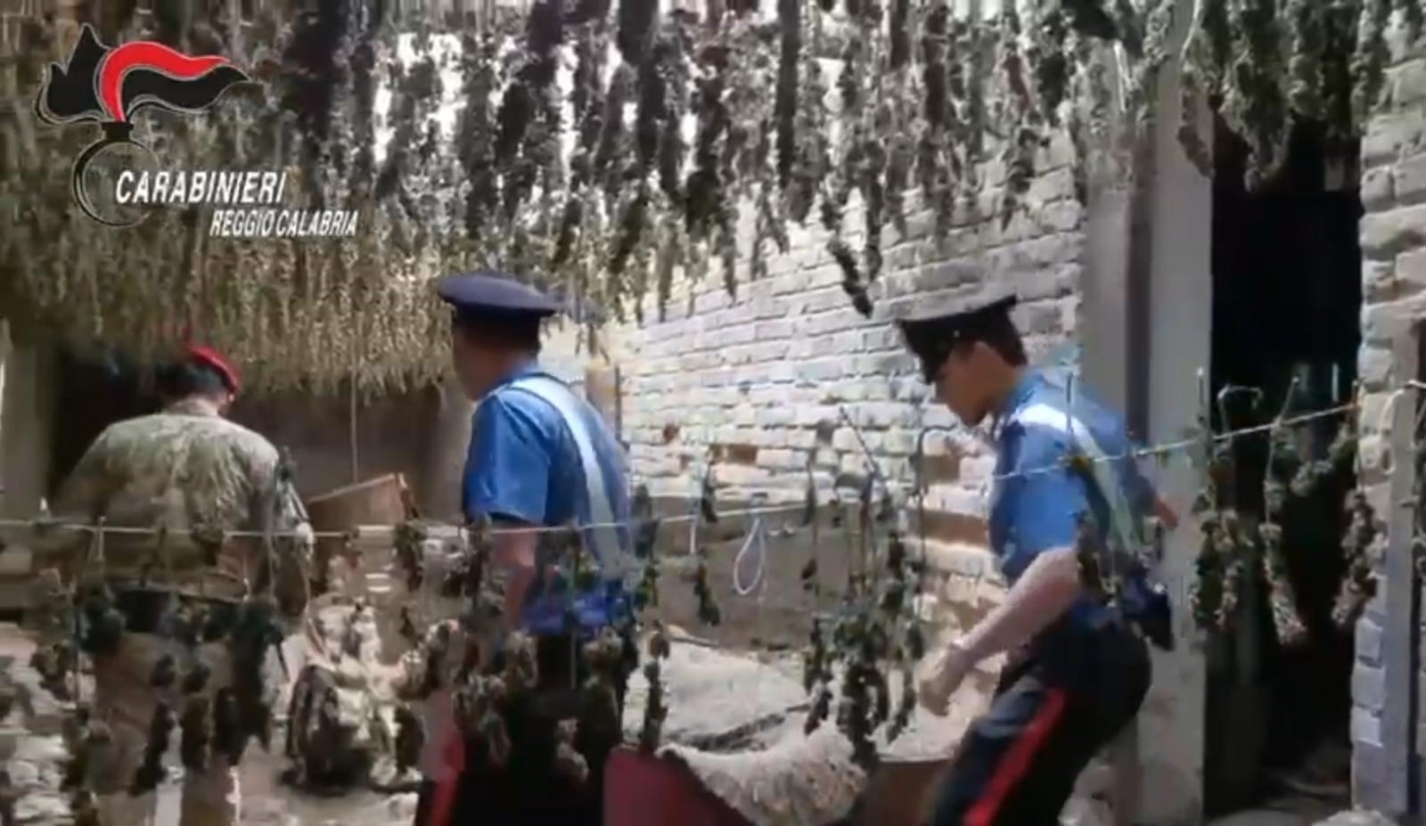 carabinieri taurianova droga