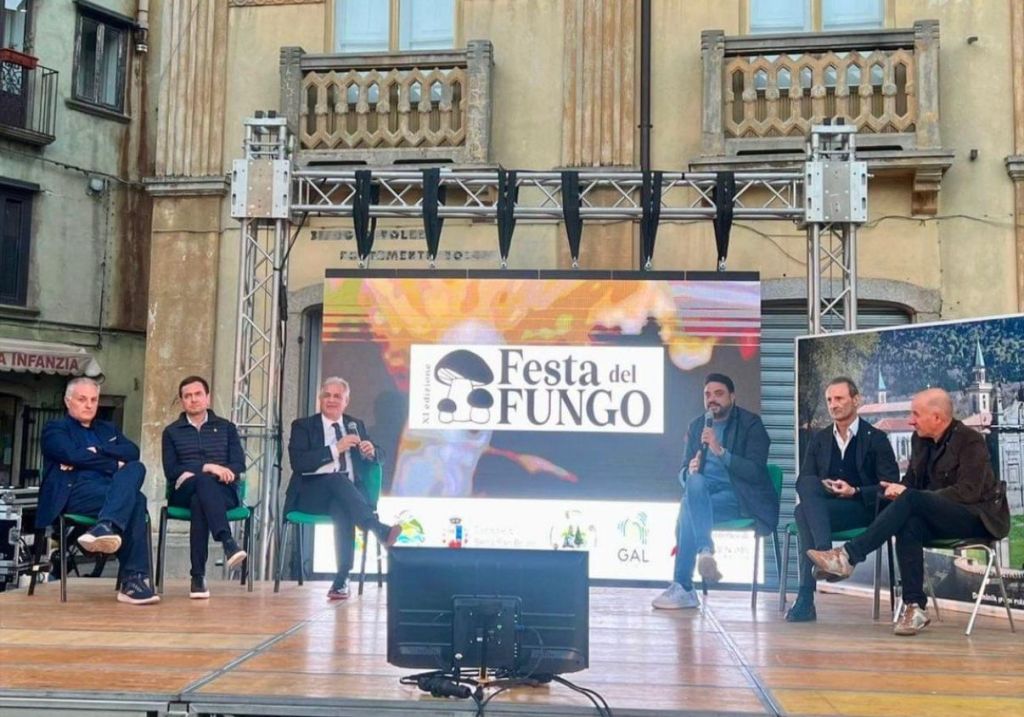 festa fungo serra san bruno ()