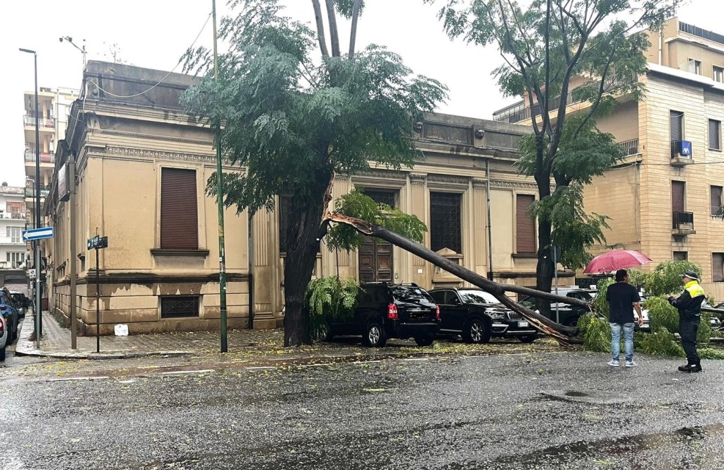 maltempo albero via roma