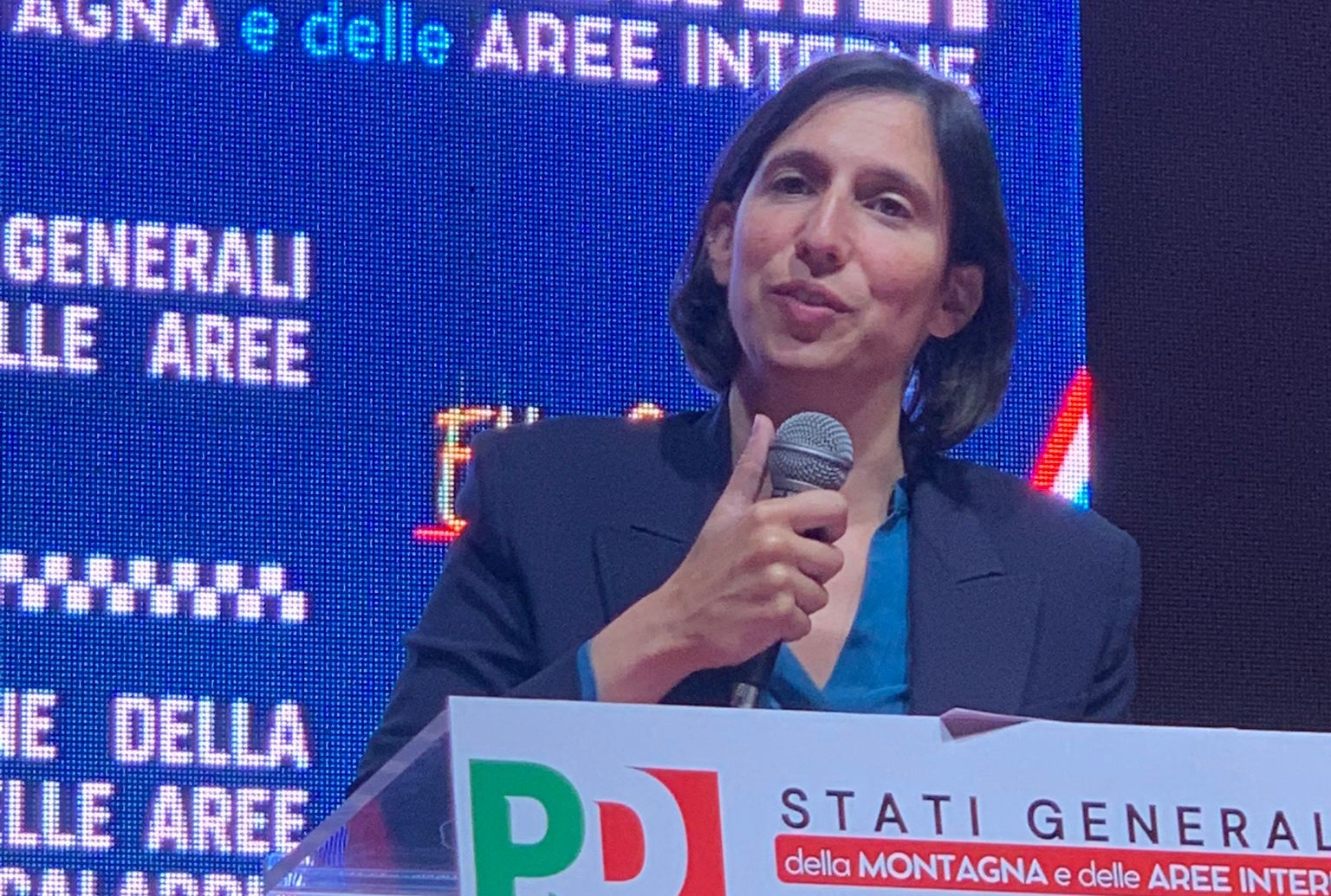 stati generali pd () schlein