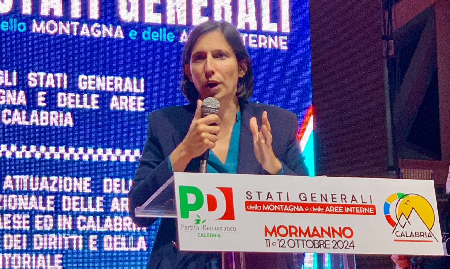 stati generali pd () schlein