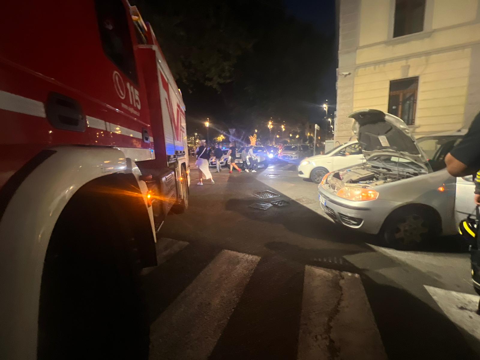 vigili serpente