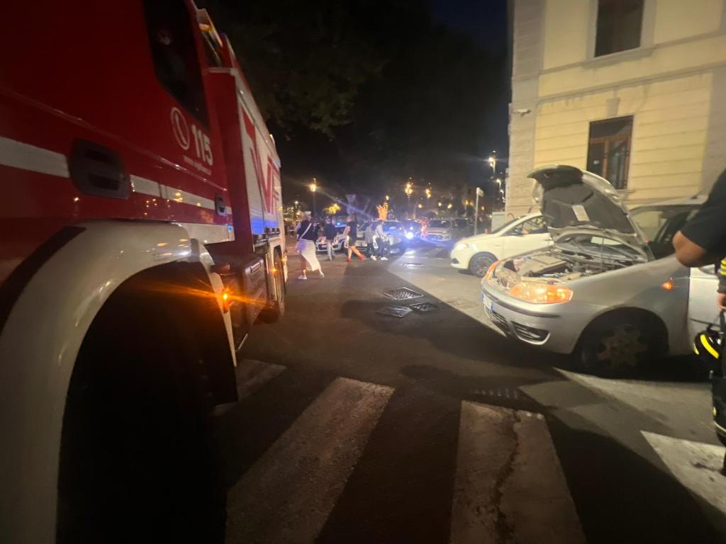 vigili serpente