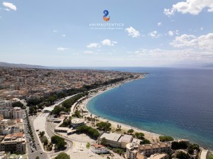 anima autentica brand identitario metro city