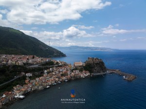 anima autentica brand identitario metro city