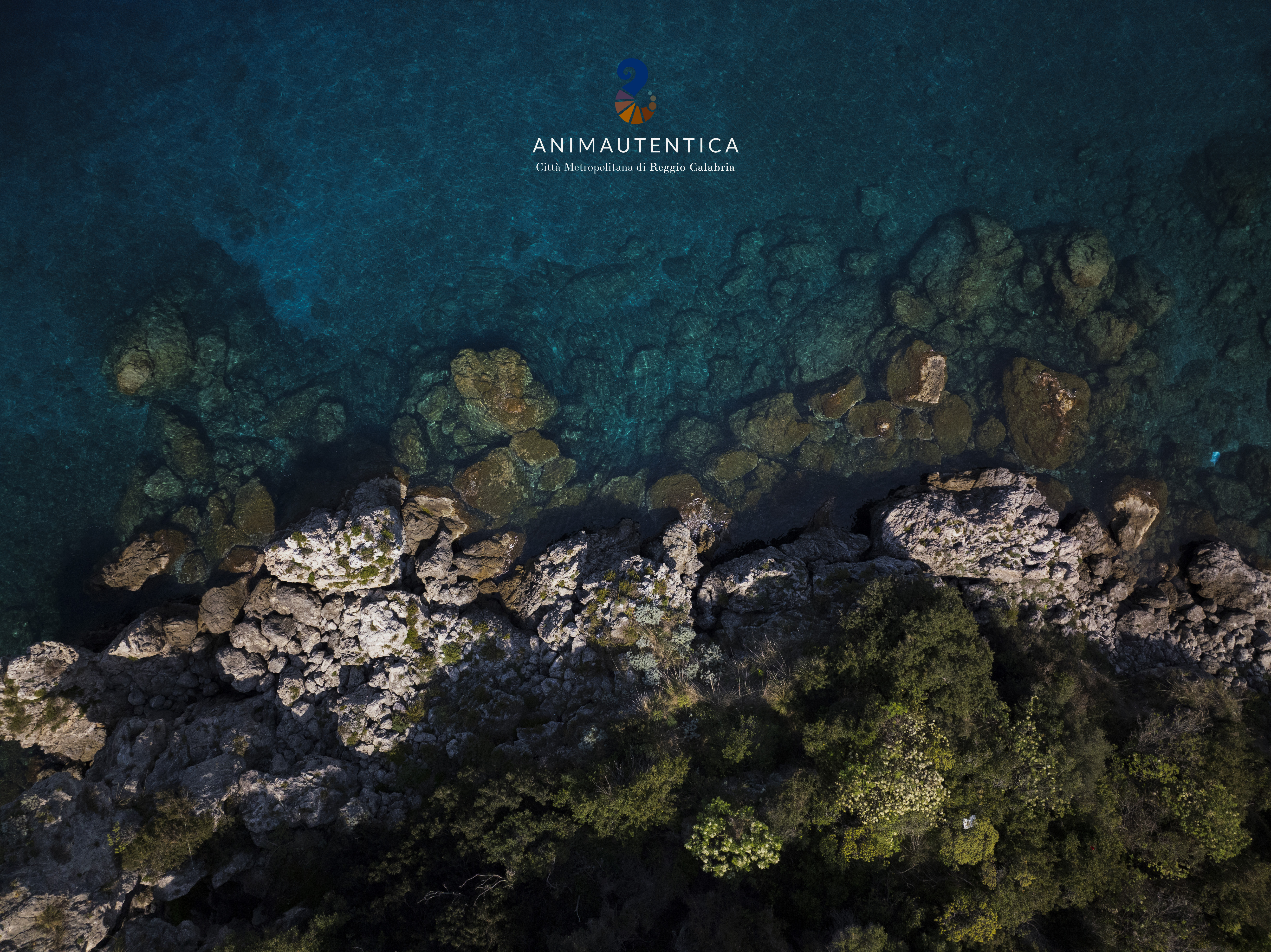 anima autentica brand identitario metro city