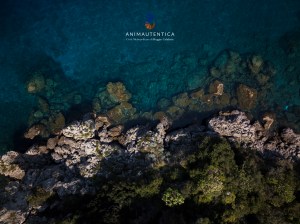 anima autentica brand identitario metro city