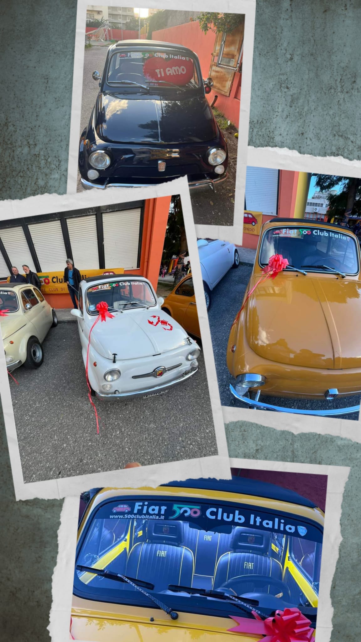 la sciarpa artina ()