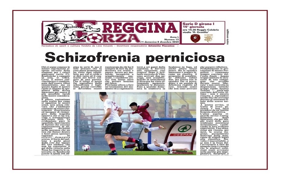 forza reggina locri new wide