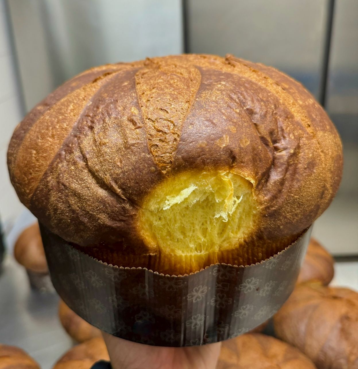 panettoni artigianali bar dolce capriccio ()