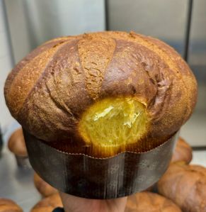 panettoni artigianali bar dolce capriccio ()