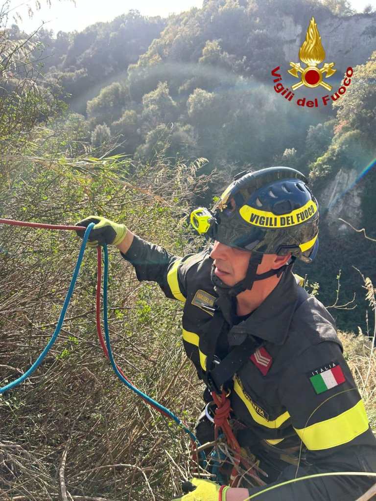 vigili fuoco