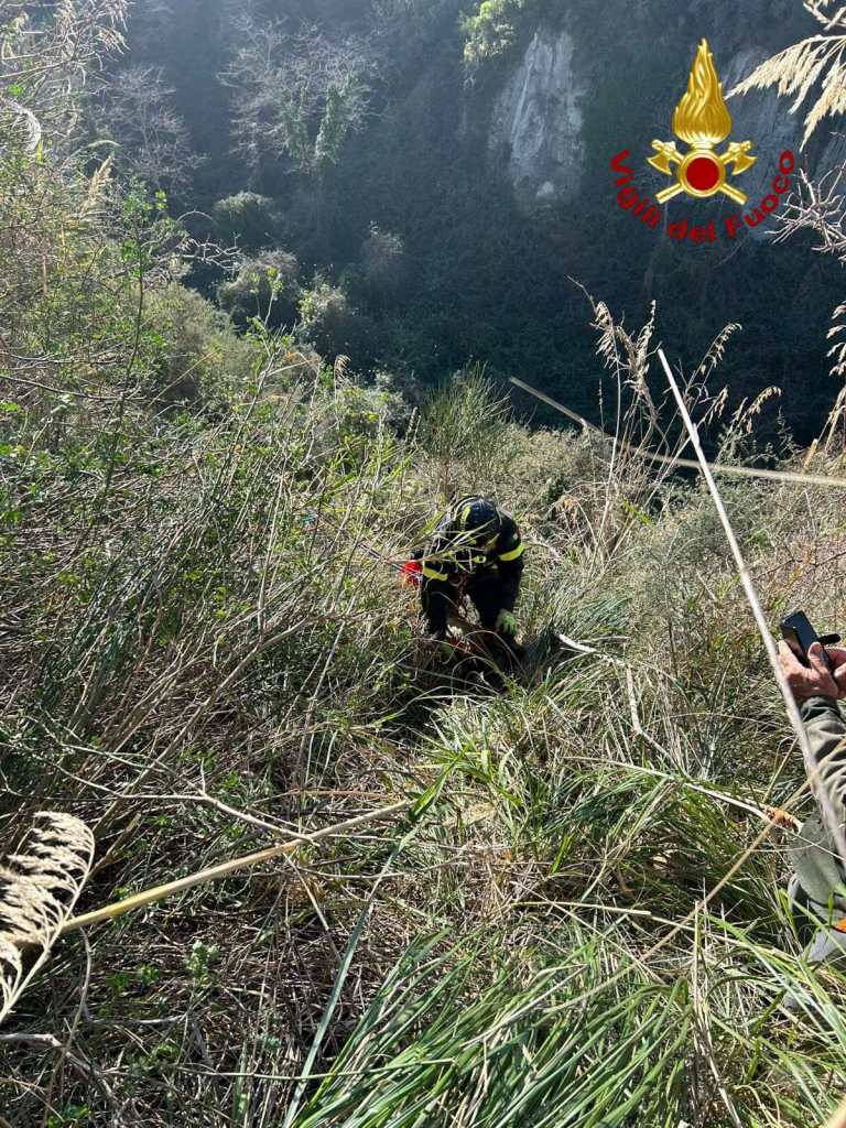vigili fuoco