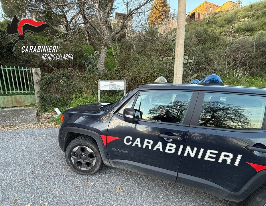 carabinieri