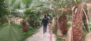 incendio torre nervi