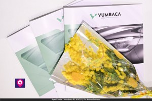 Aperi Panda Vumbaca ()