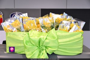 Aperi Panda Vumbaca ()