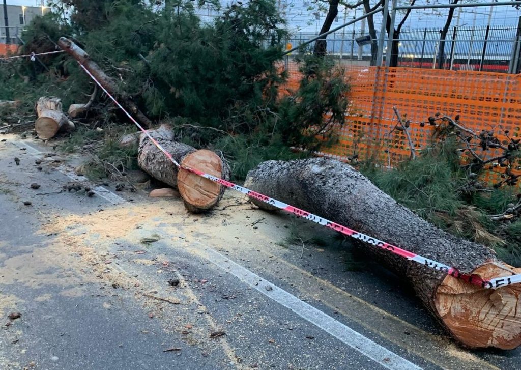 caduta albero via marina reggio calabroa ()