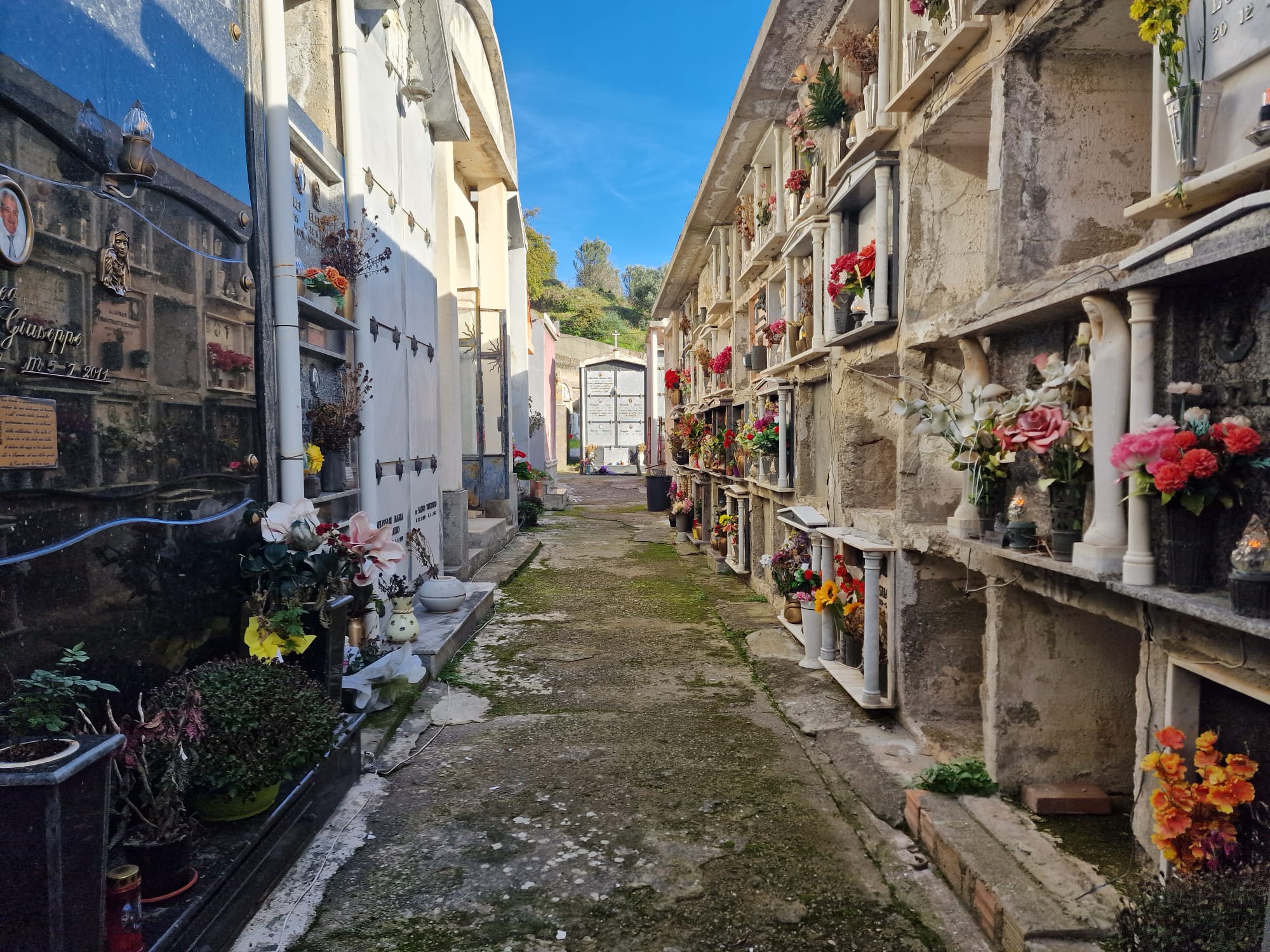 cimitero san roberto