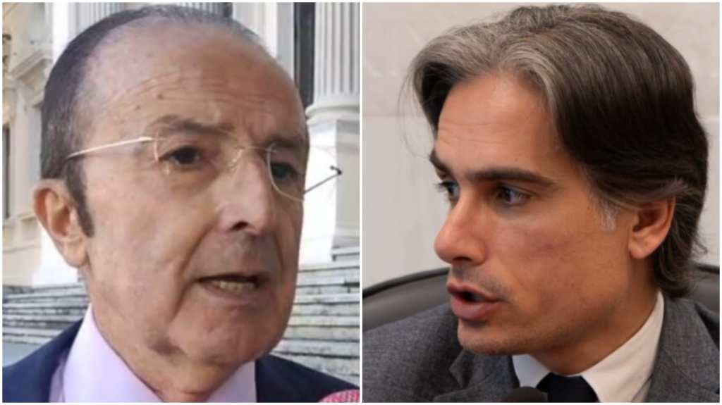 falco zimbalatti