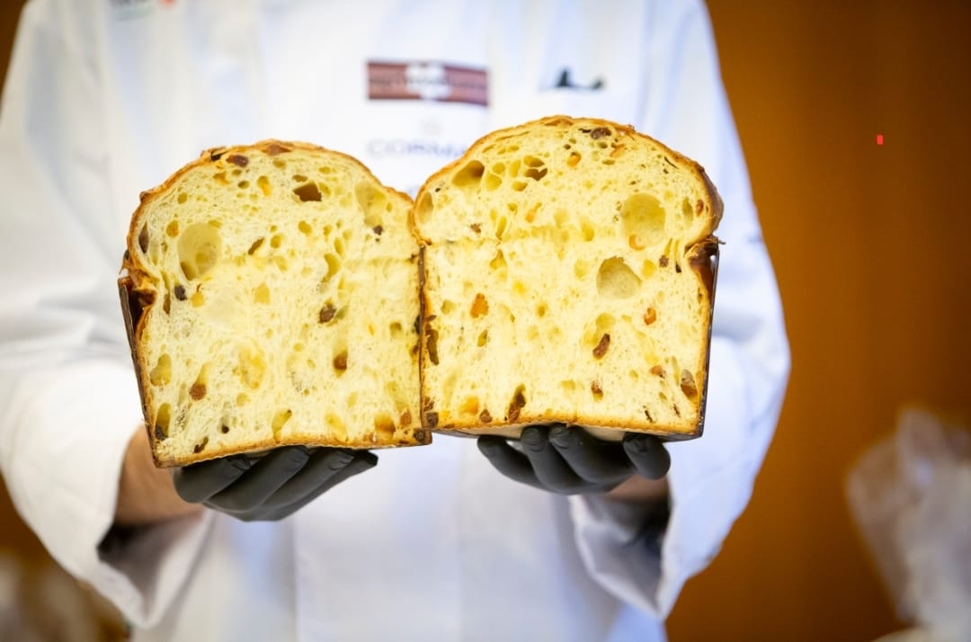 panettone