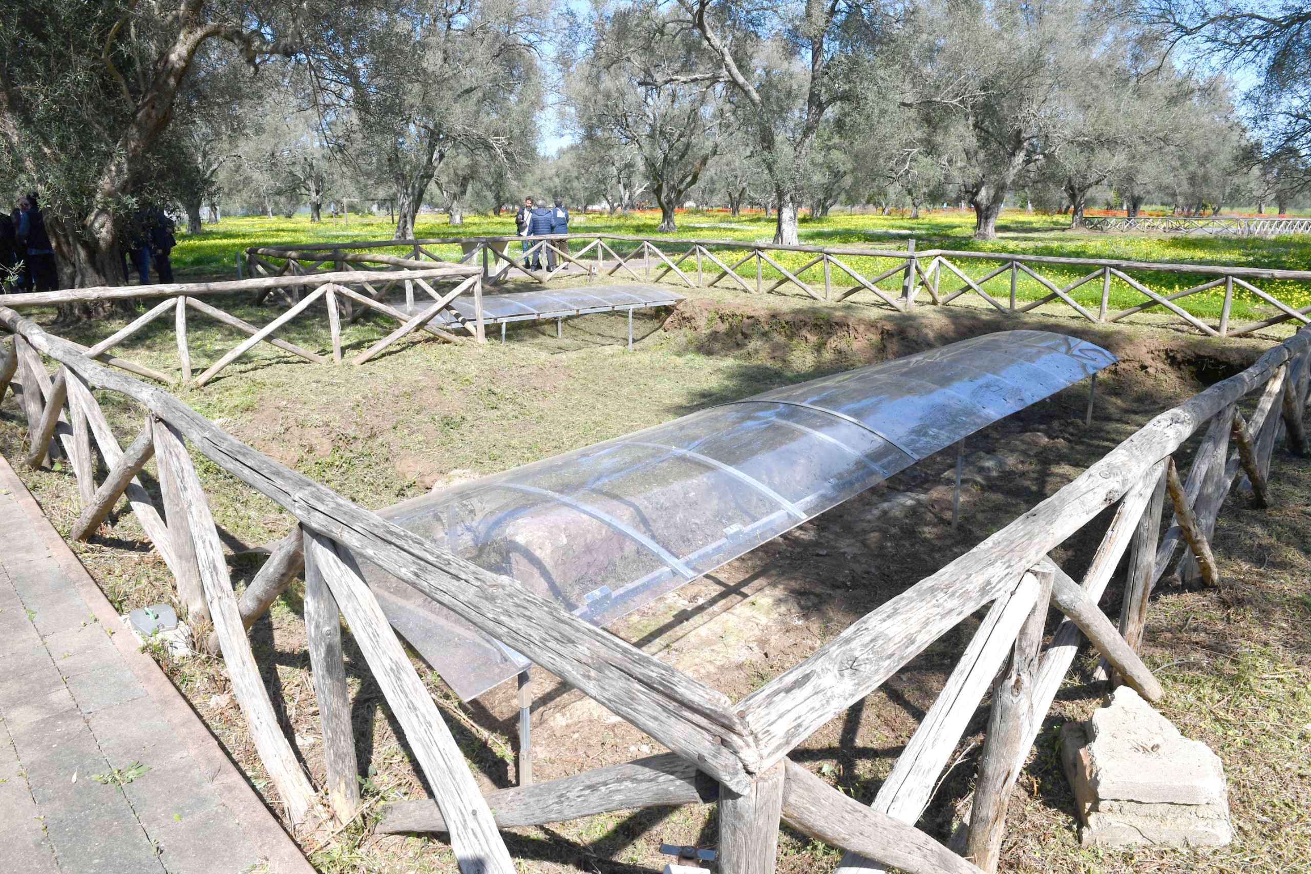parco archeologico e museo medma rosarno